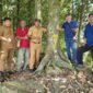 Tim gabungan Balai Besar Perbenihan dan Proteksi Tanaman Perkebunan Ambon bersama Dinas Tanaman Pangan, Hortikultura dan Perkebunan Provinsi Papua Barat bersama Dinas Perkebunan Fakfak melakukan evaluasi menyeluruh terhadap delapan kebun benih BPT dan tiga unit penangkar pala Tomandin sebagai bagian dari penyusunan rencana aksi hilirisasi pala di Fakfak.